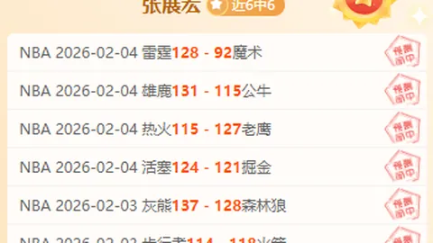 海登海姆对阵美因茨：核心后卫回归，德甲战事预览解析